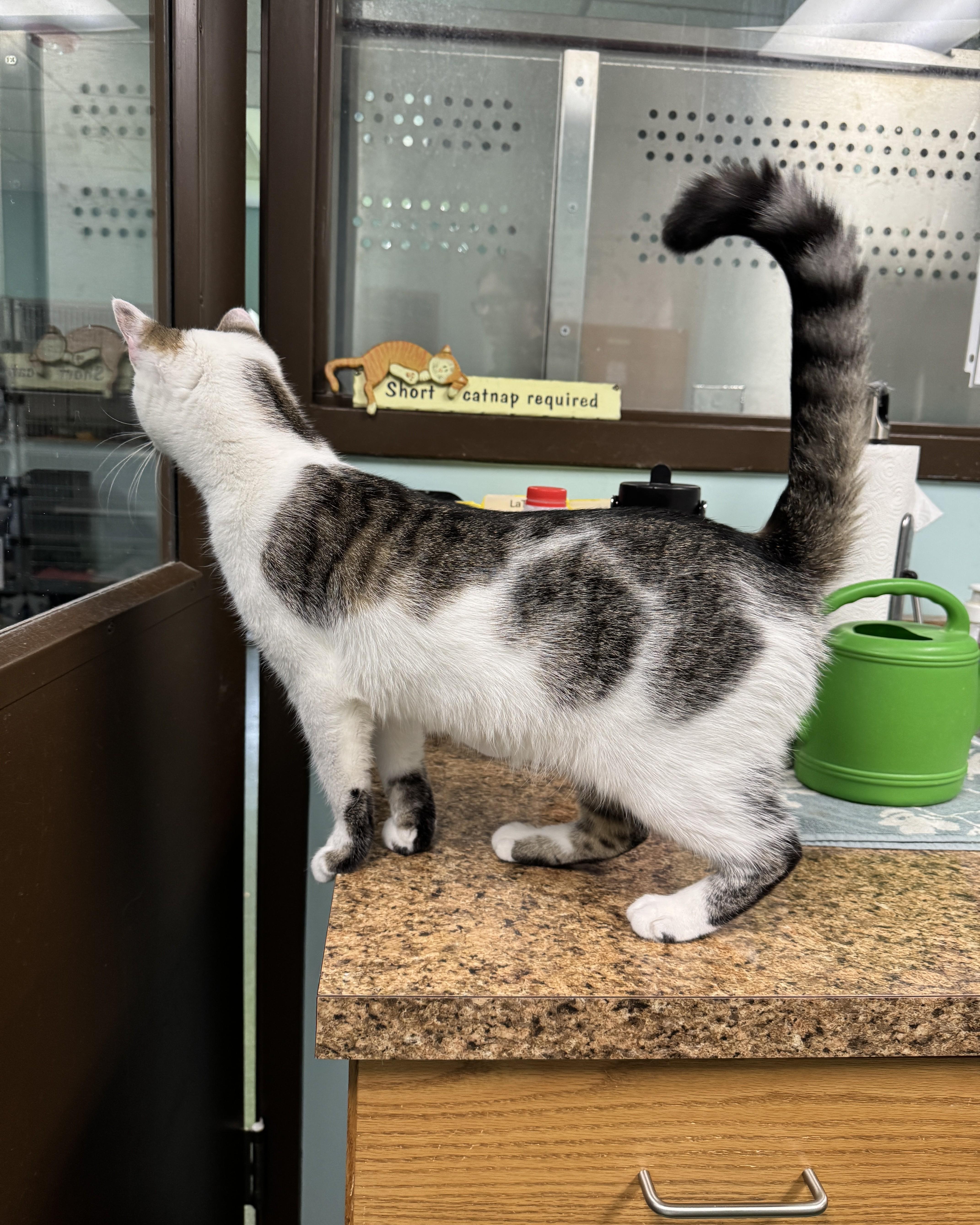 Hollywood thumbnail 3