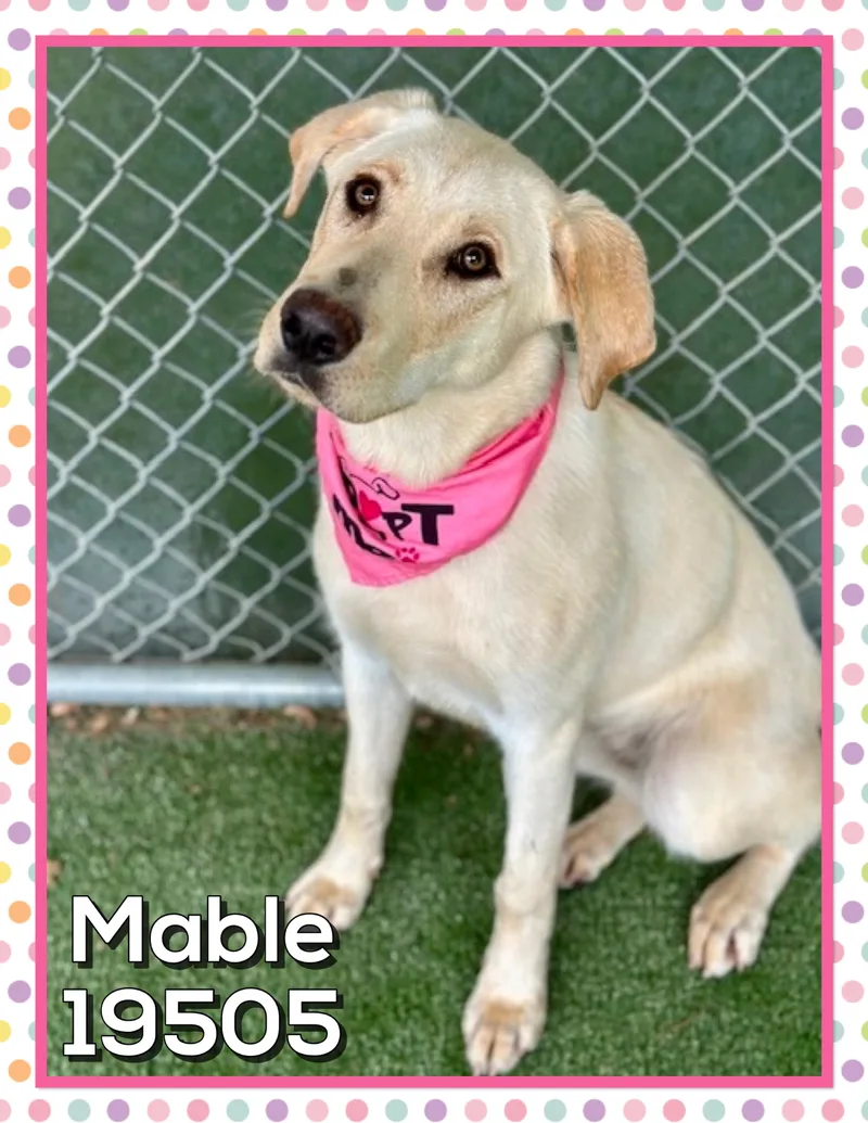Mable thumbnail 2