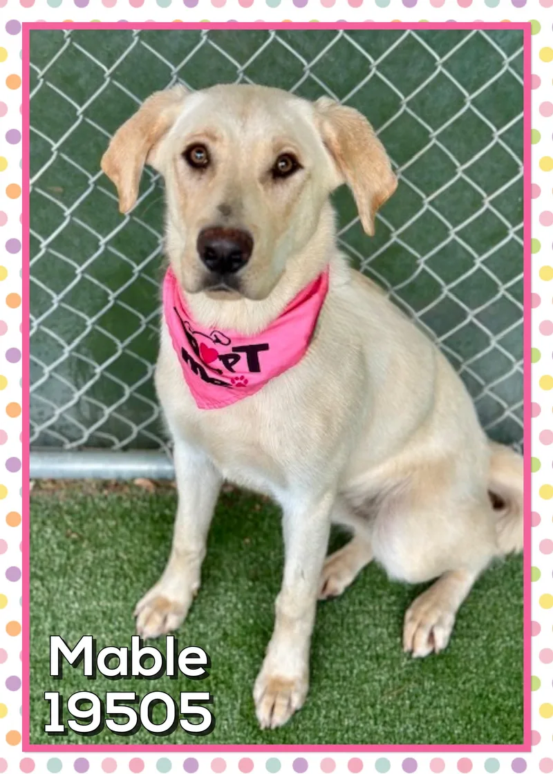 Mable thumbnail 3