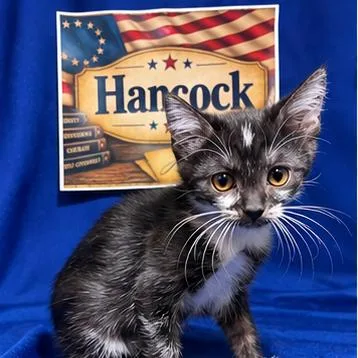 Hancock thumbnail 2