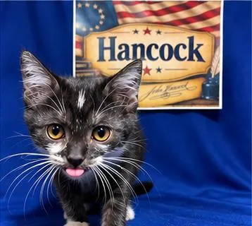 Hancock thumbnail 5
