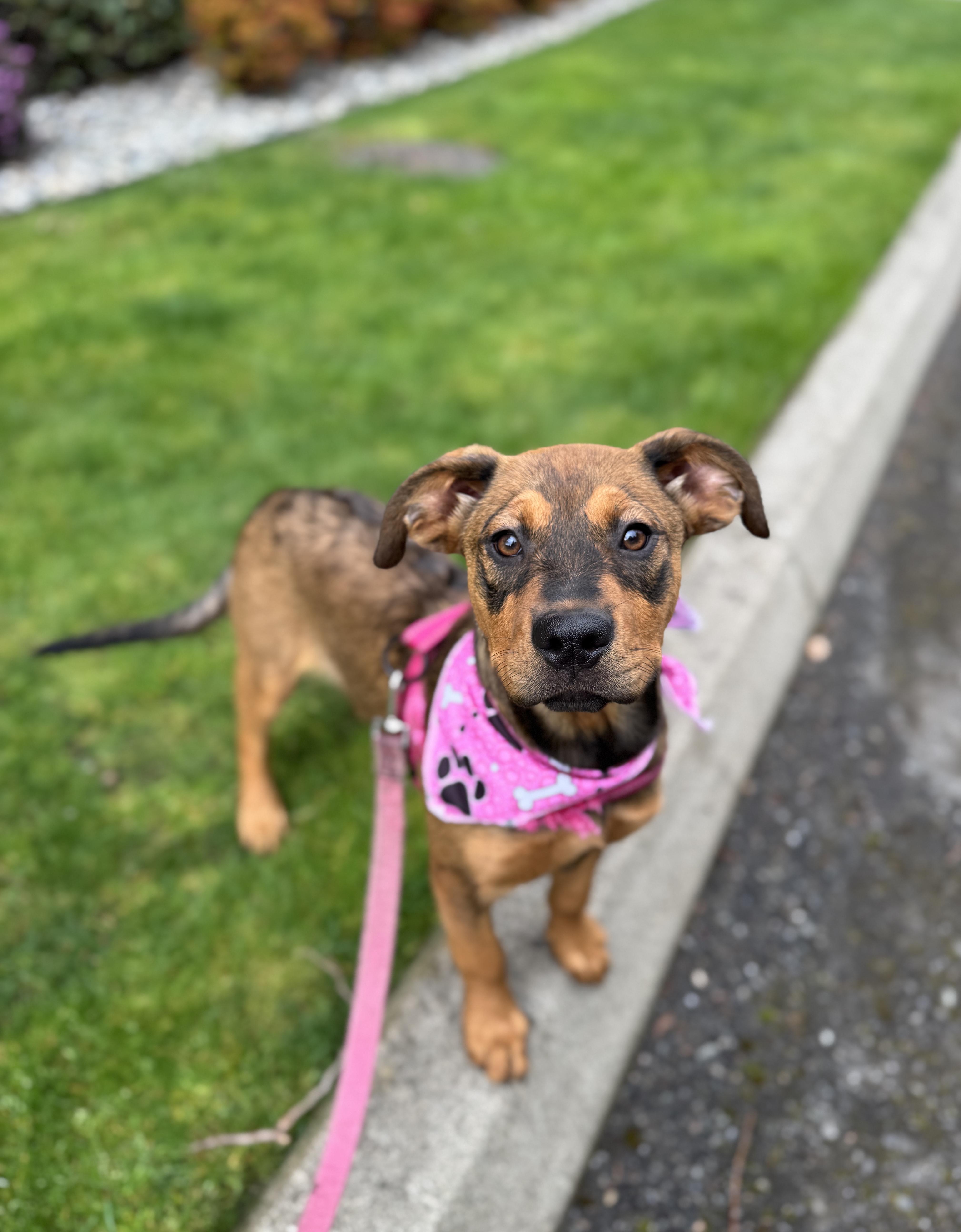 Lorraine thumbnail 2