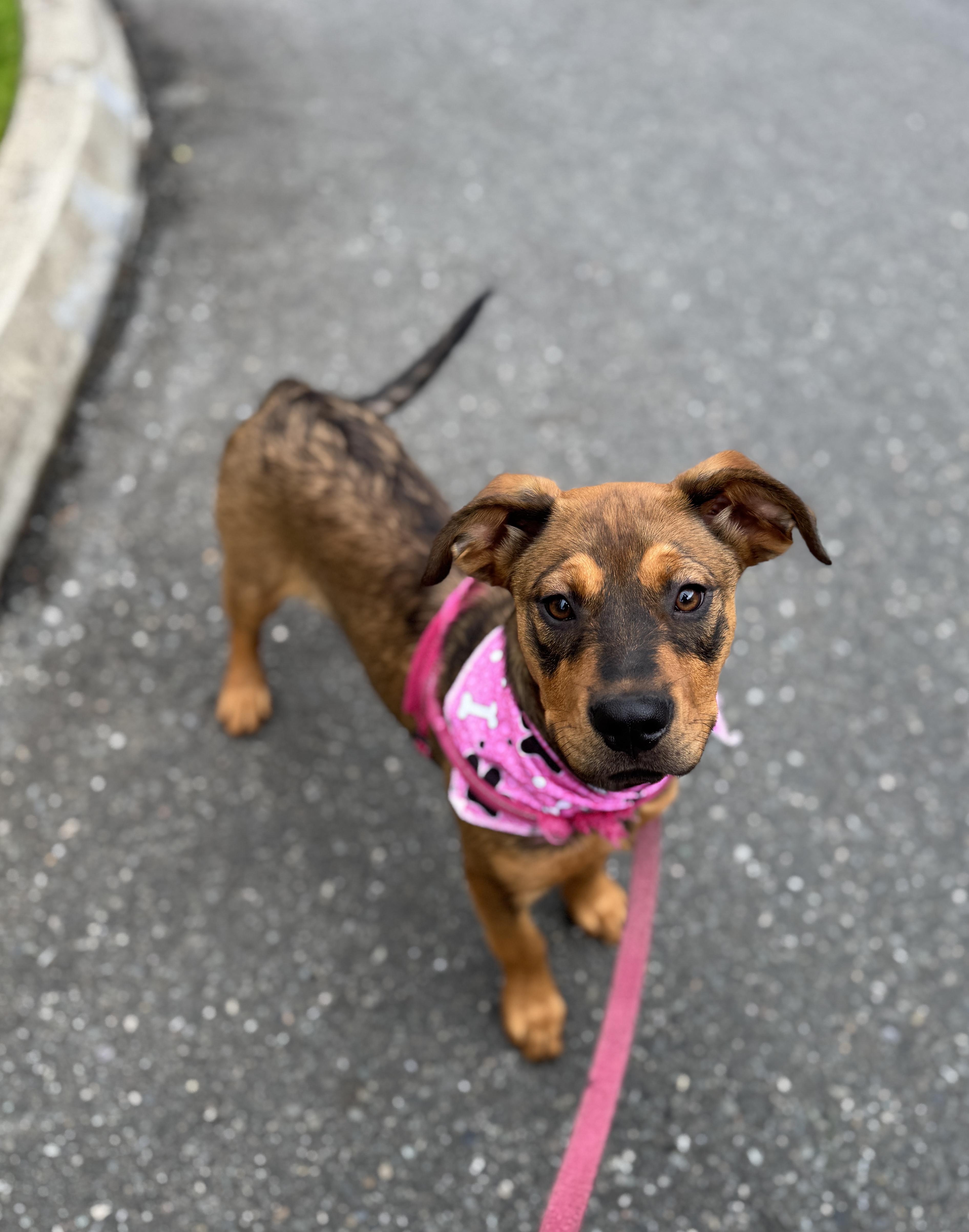 Lorraine thumbnail 3