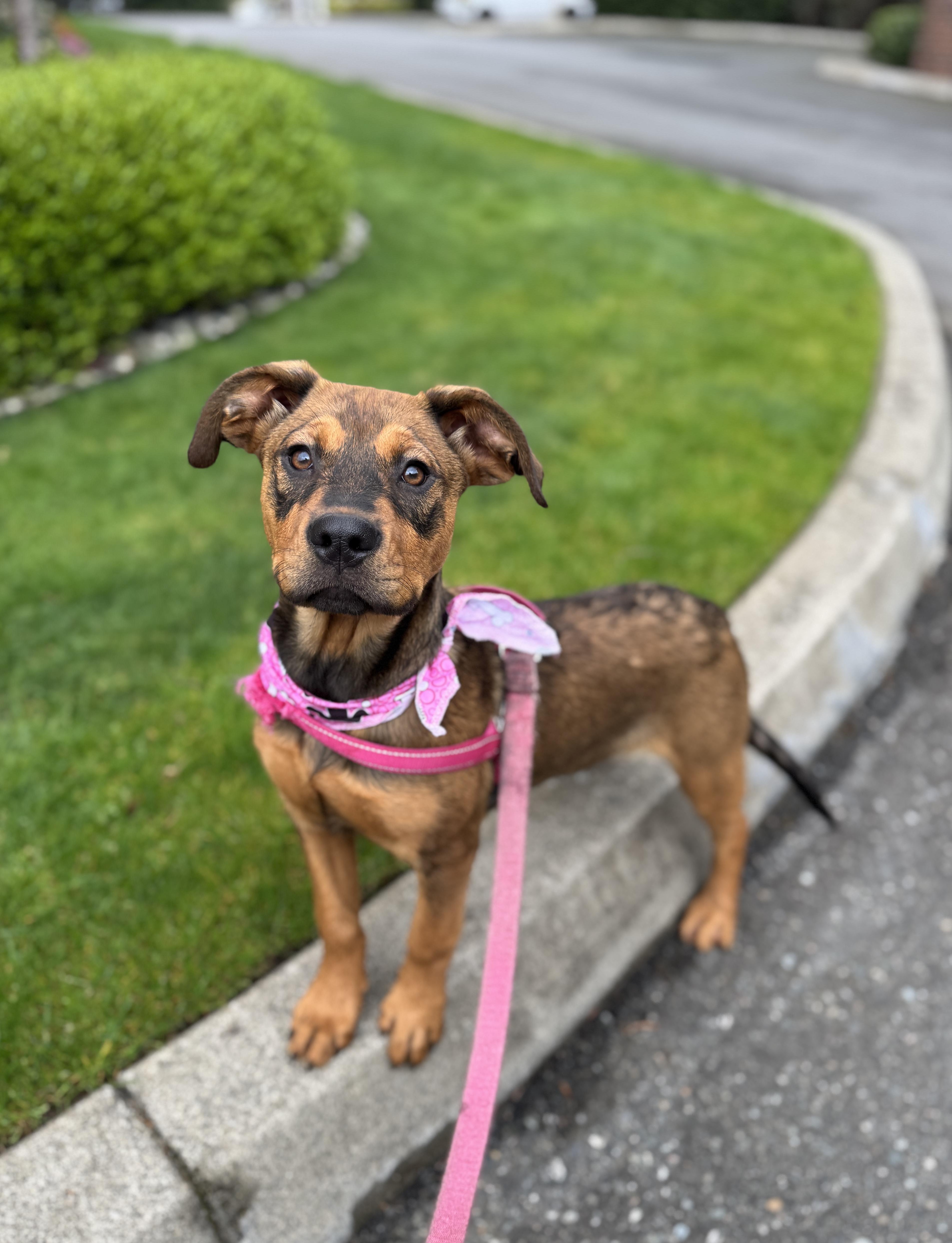 Lorraine thumbnail 4