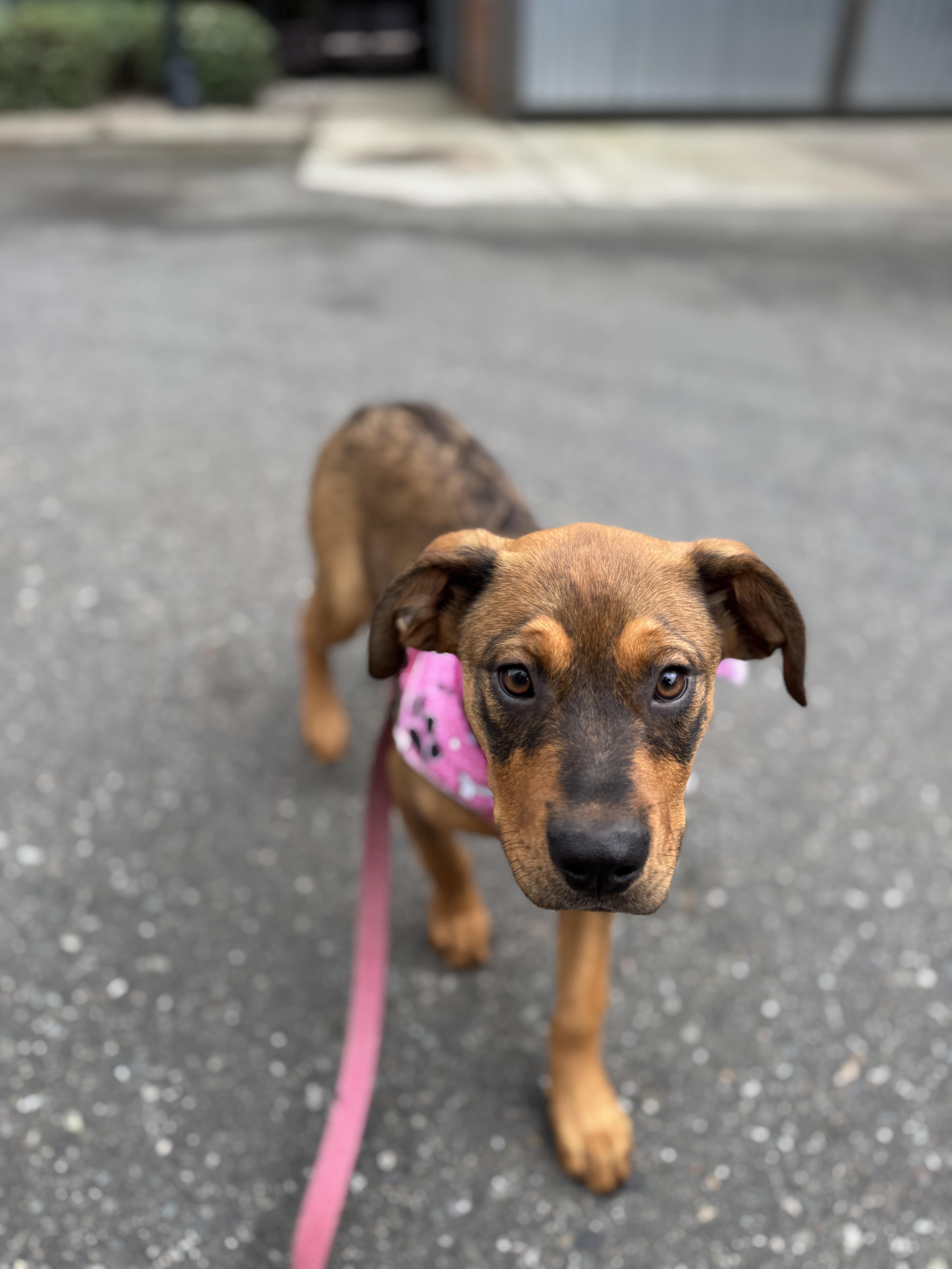 Lorraine thumbnail 5