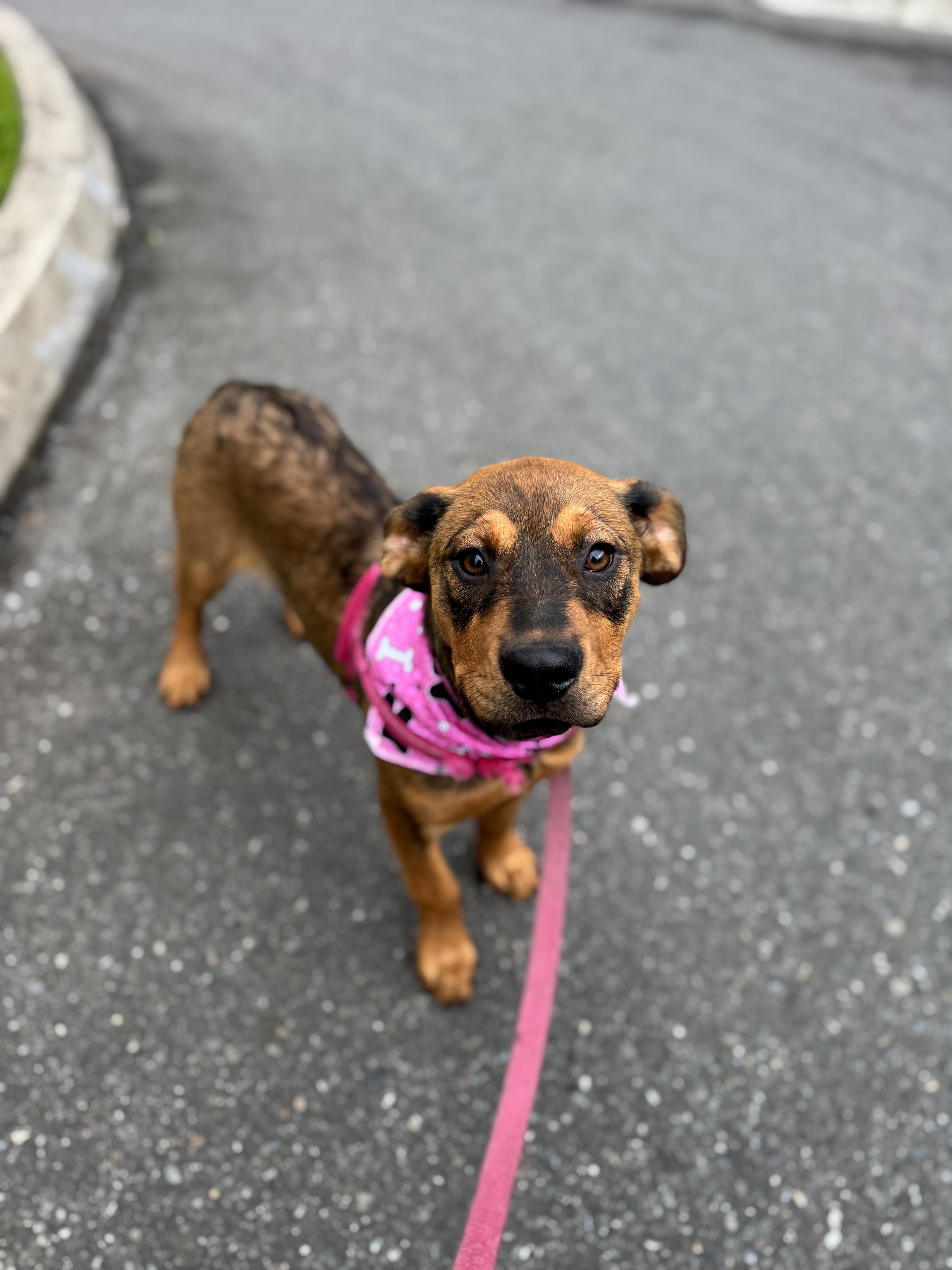 Lorraine thumbnail 6