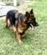 Zena thumbnail 2