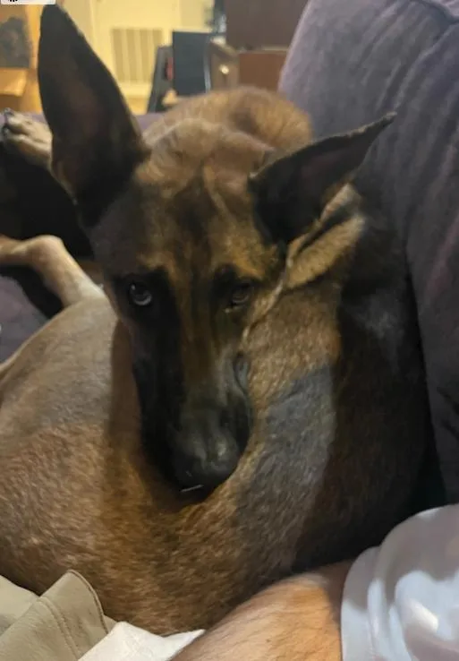 Radar thumbnail 2