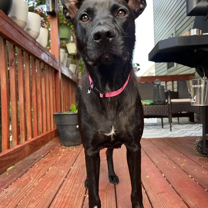 Courtesy Listing Lucy thumbnail 2