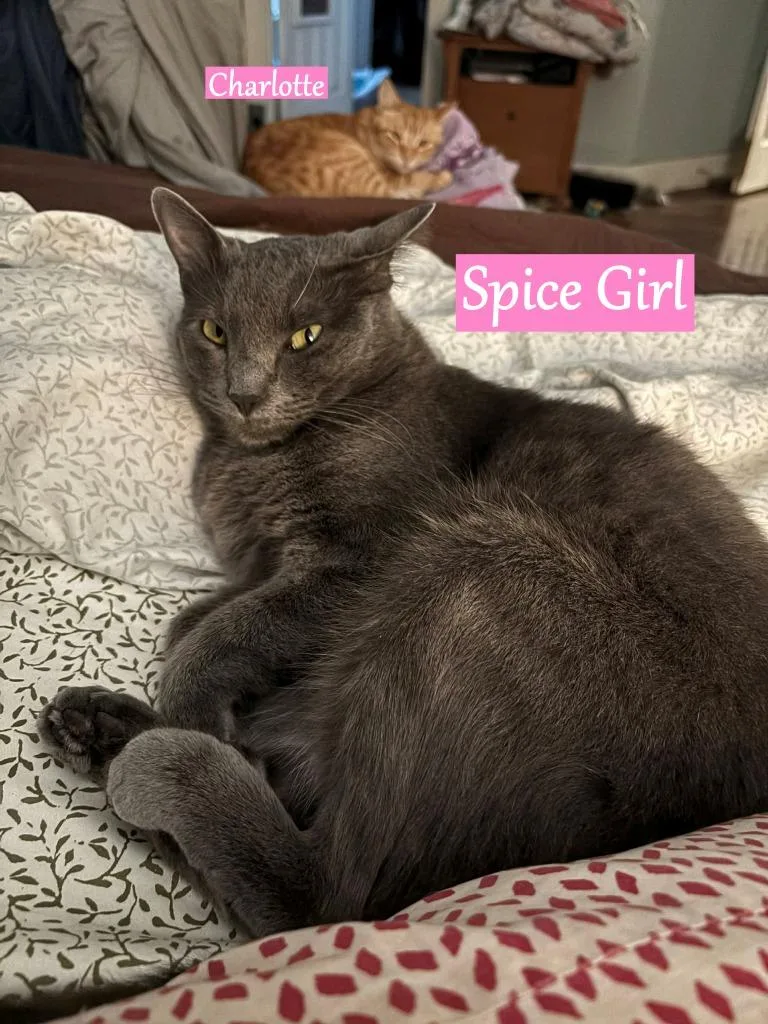 Spice Girl thumbnail 2