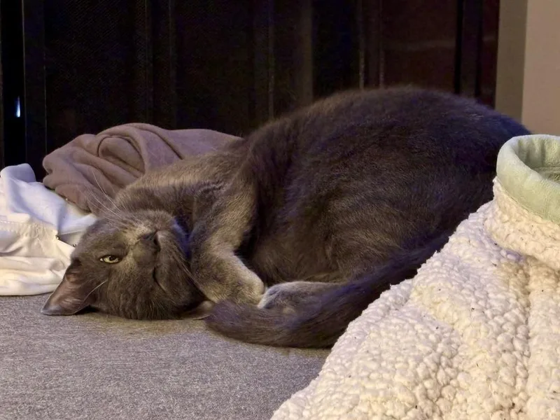 Spice Girl thumbnail 4