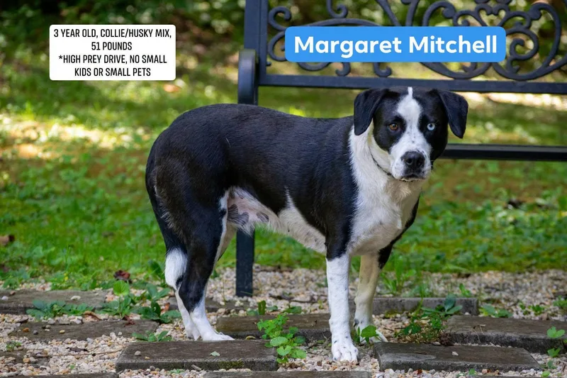 Margaret Mitchell