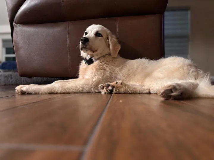Lexi thumbnail 3