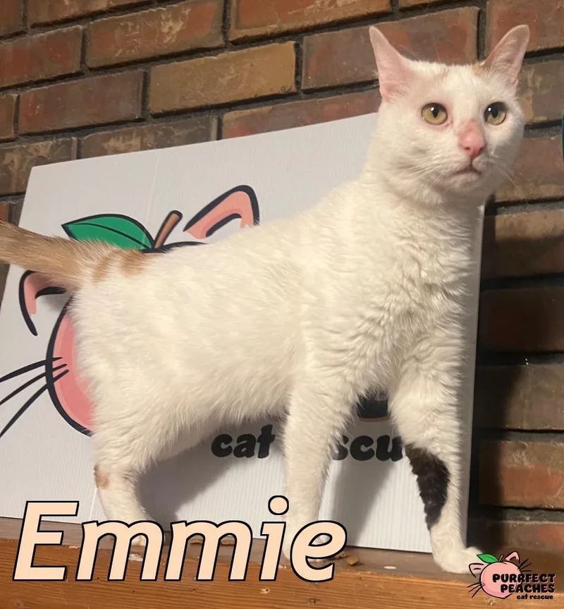 Emmie