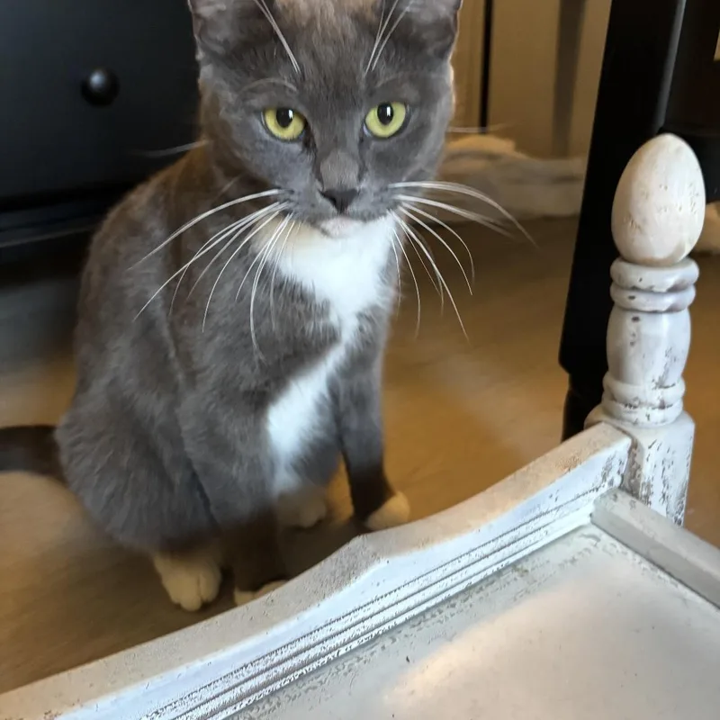 Minnie thumbnail 3