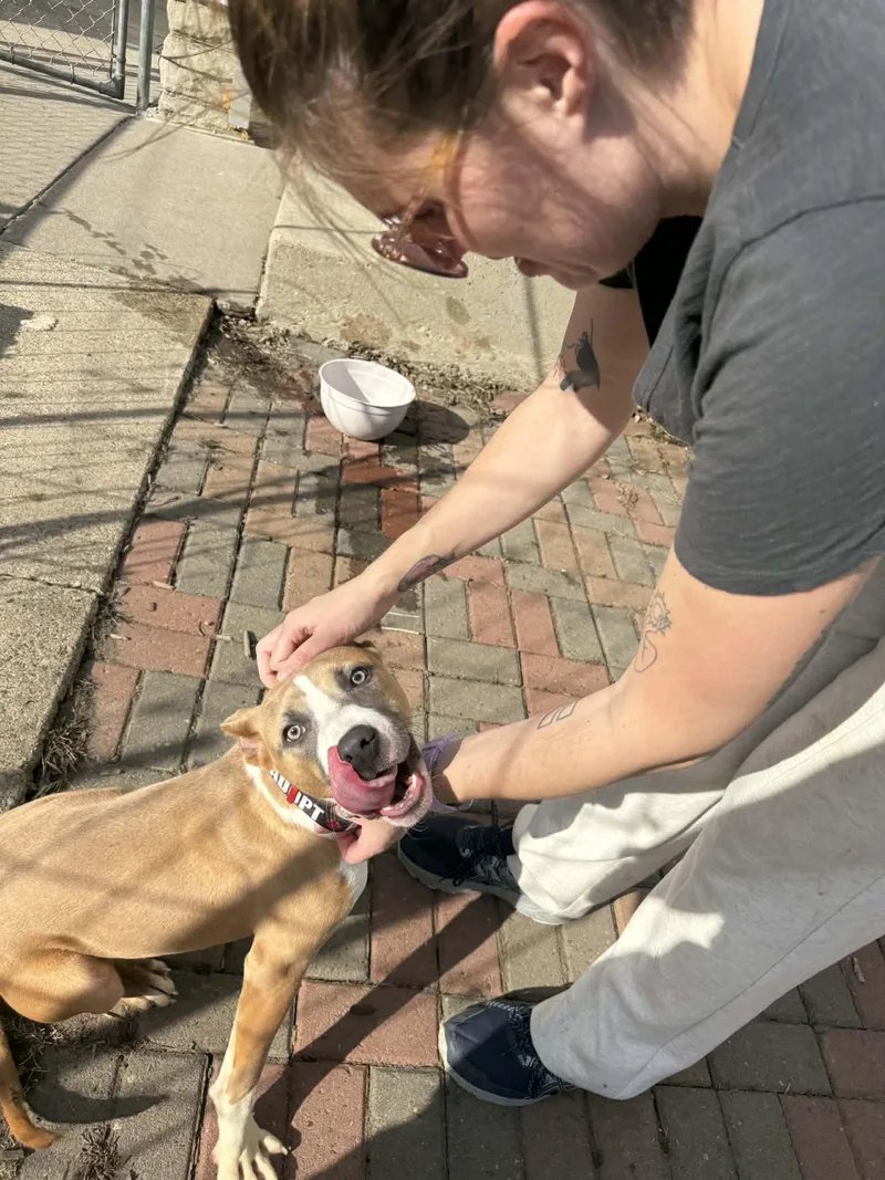 Dakota Fka Oda thumbnail 3