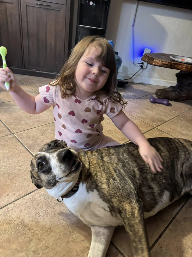 Urgent  Tootsie Roll thumbnail 3