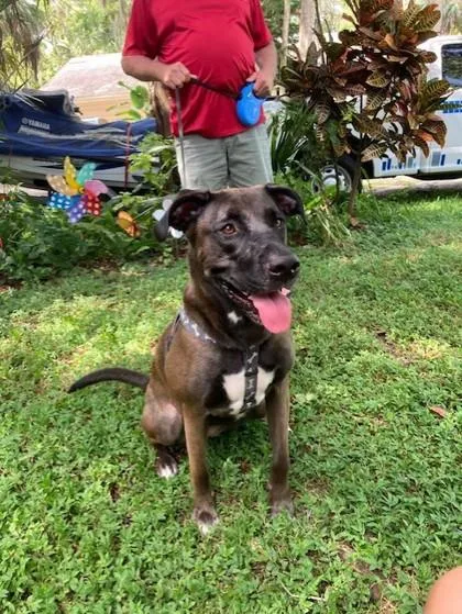 Georgia