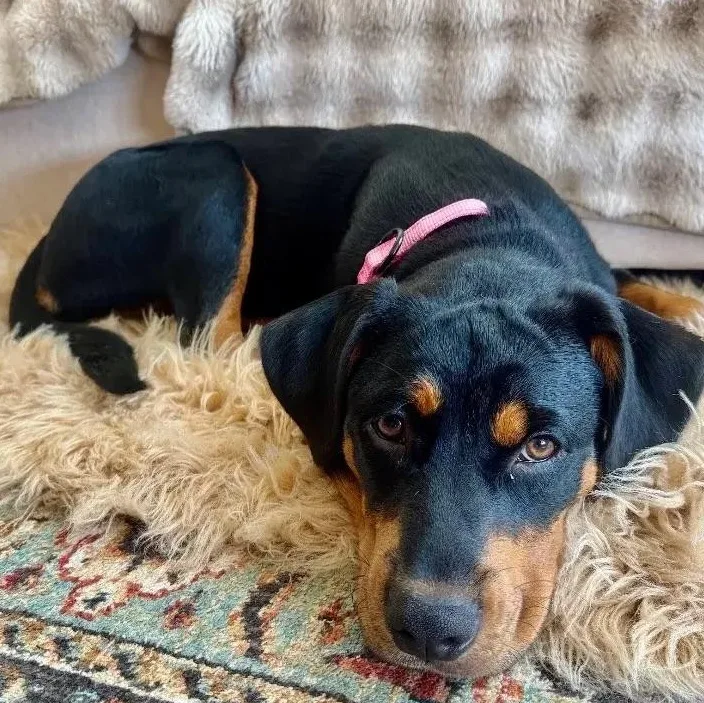 Ella