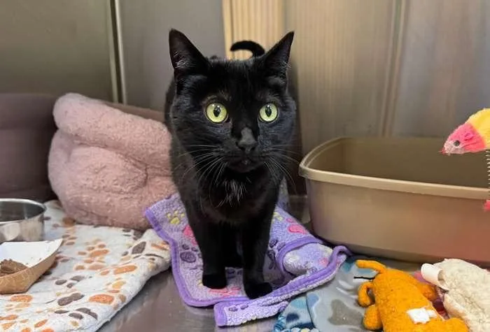 Luna