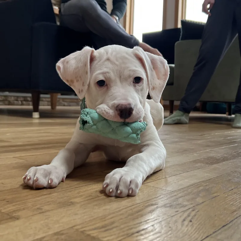 Baby Millie! thumbnail 2