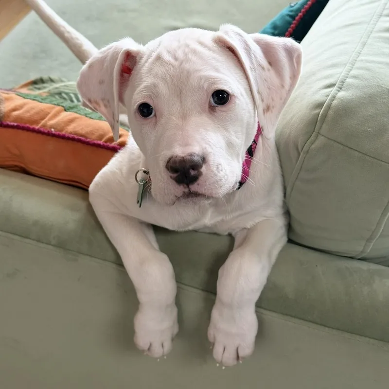 Baby Millie! thumbnail 4