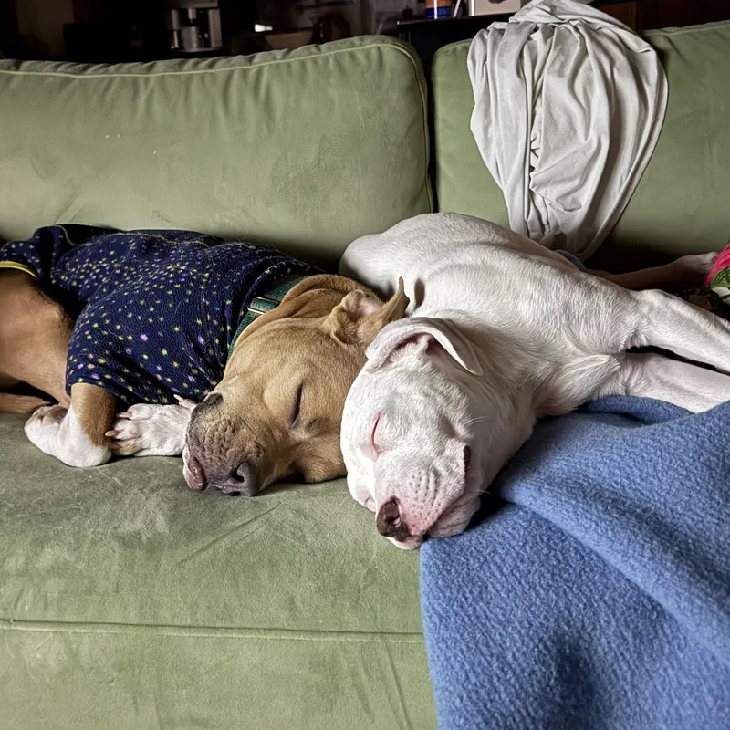 Baby Millie! thumbnail 5