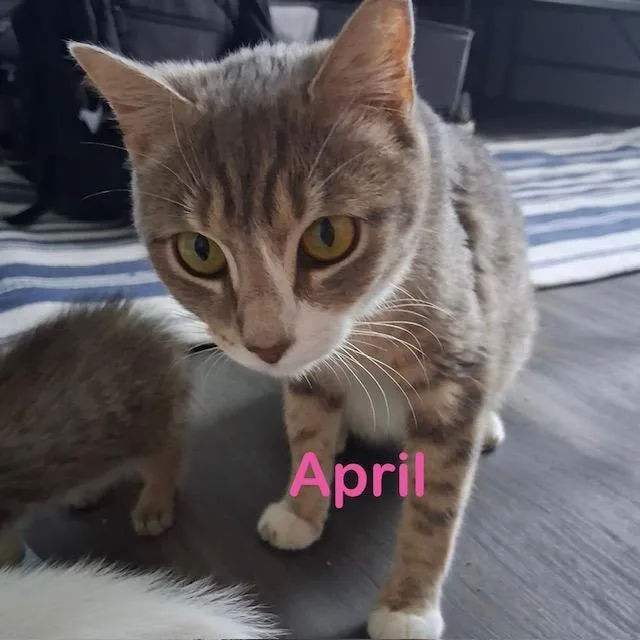 April Mom