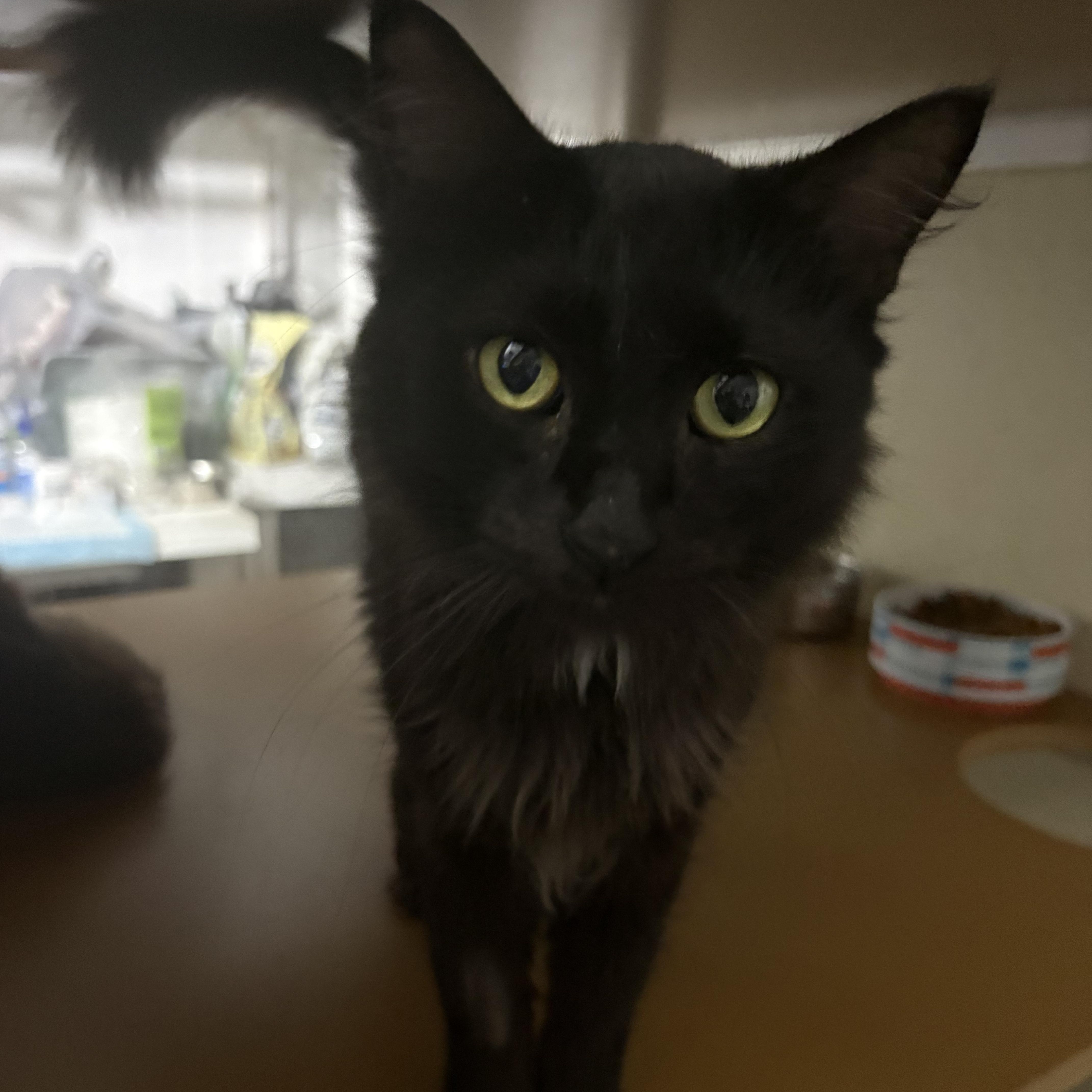Tux