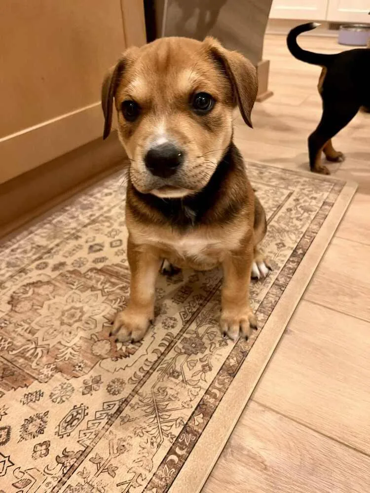 Mason