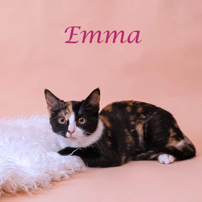 Emma C thumbnail 2
