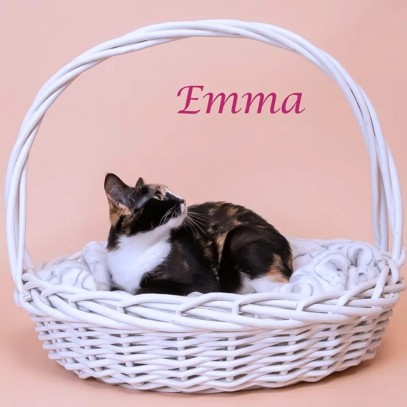 Emma C thumbnail 3