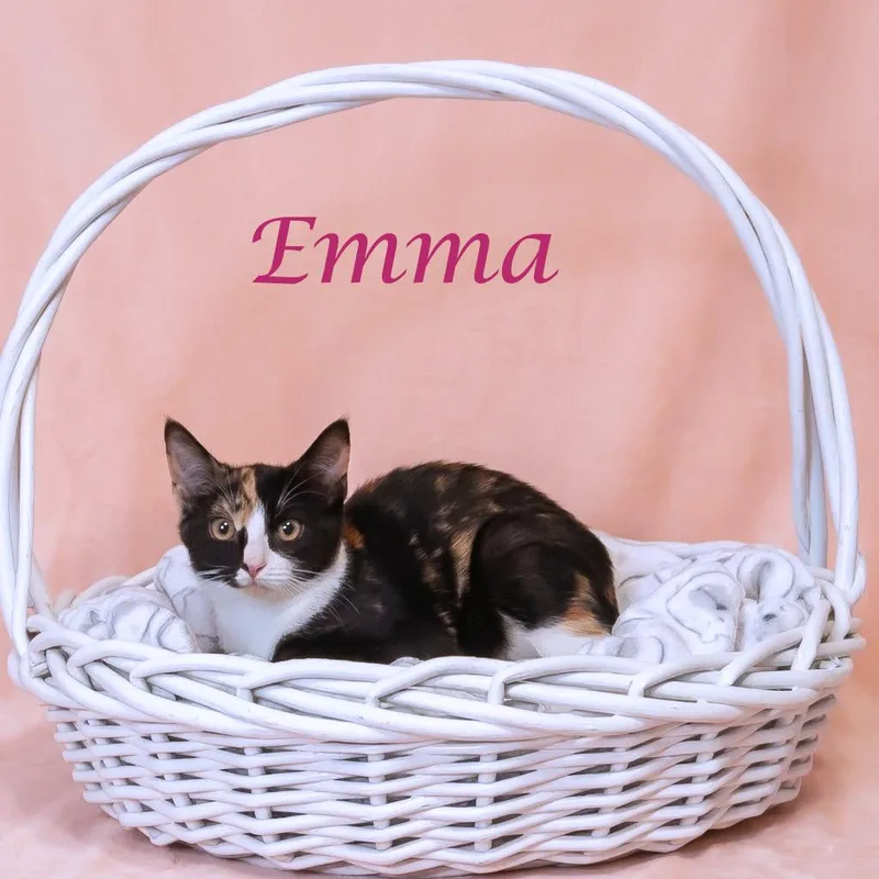 Emma C thumbnail 4
