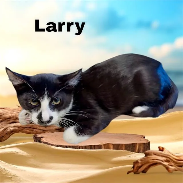 Larry