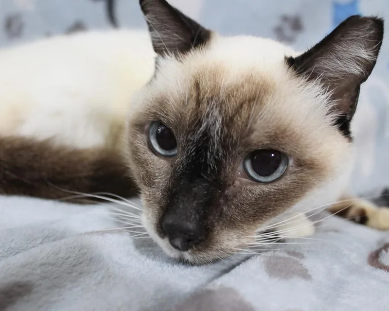 Maggie K thumbnail 3