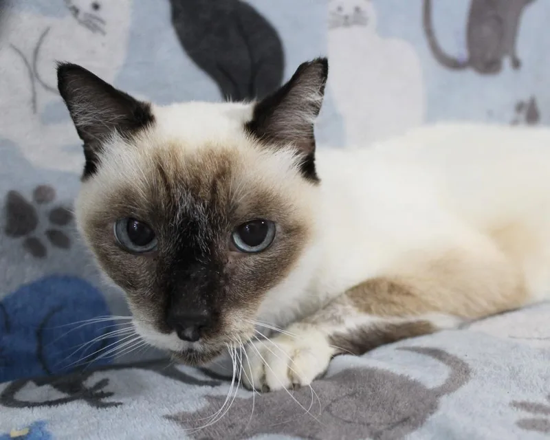 Maggie K thumbnail 4