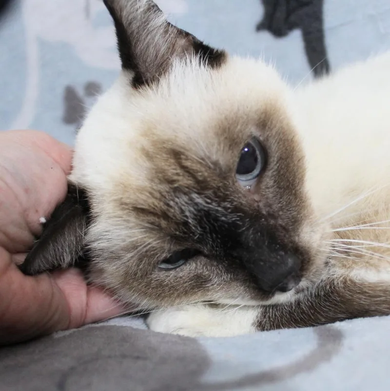 Maggie K thumbnail 5