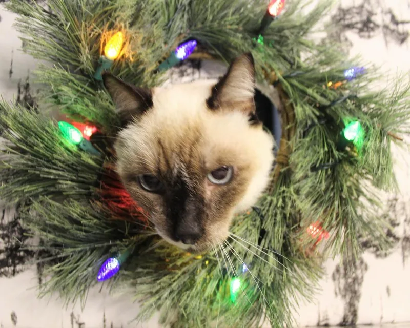 Maggie K thumbnail 6