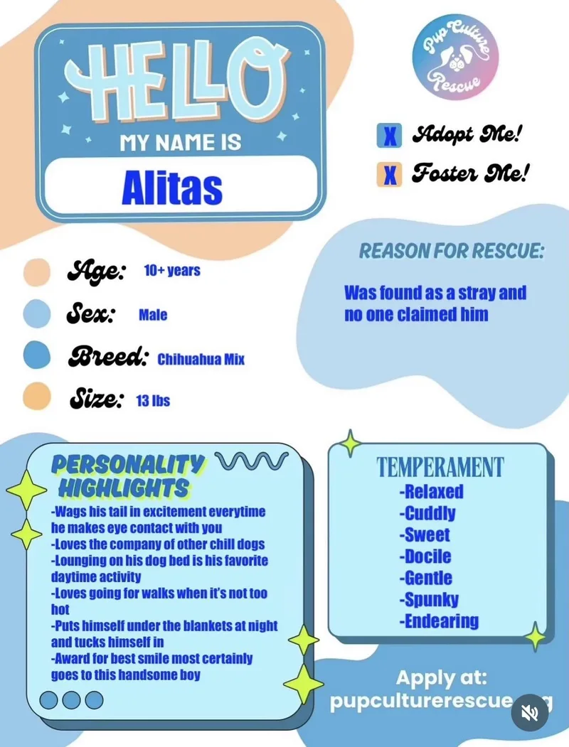 Alitas thumbnail 3