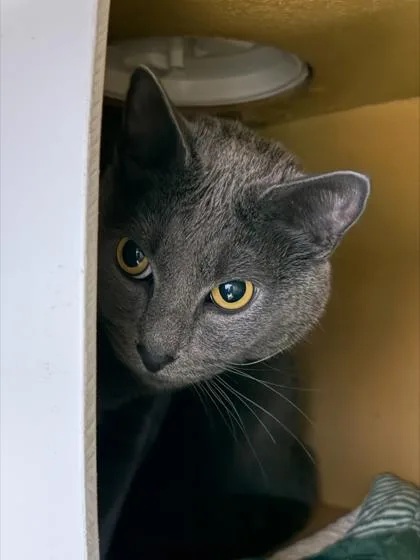 Fernando thumbnail 2