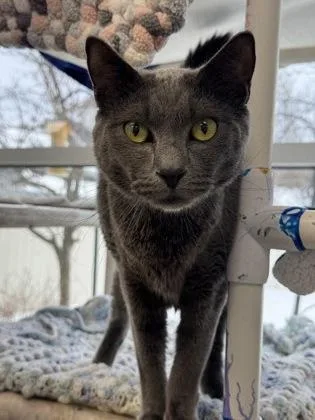 Fernando thumbnail 3