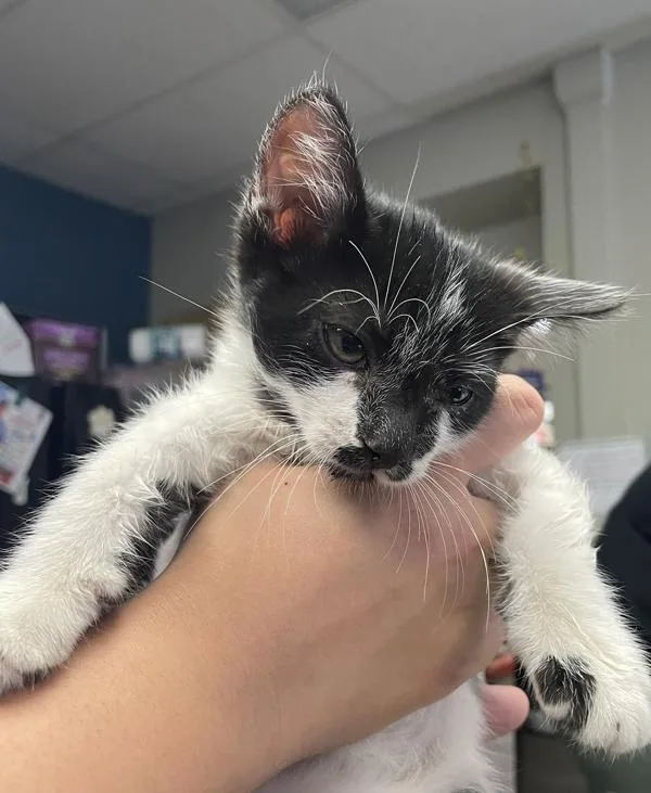 Quincy