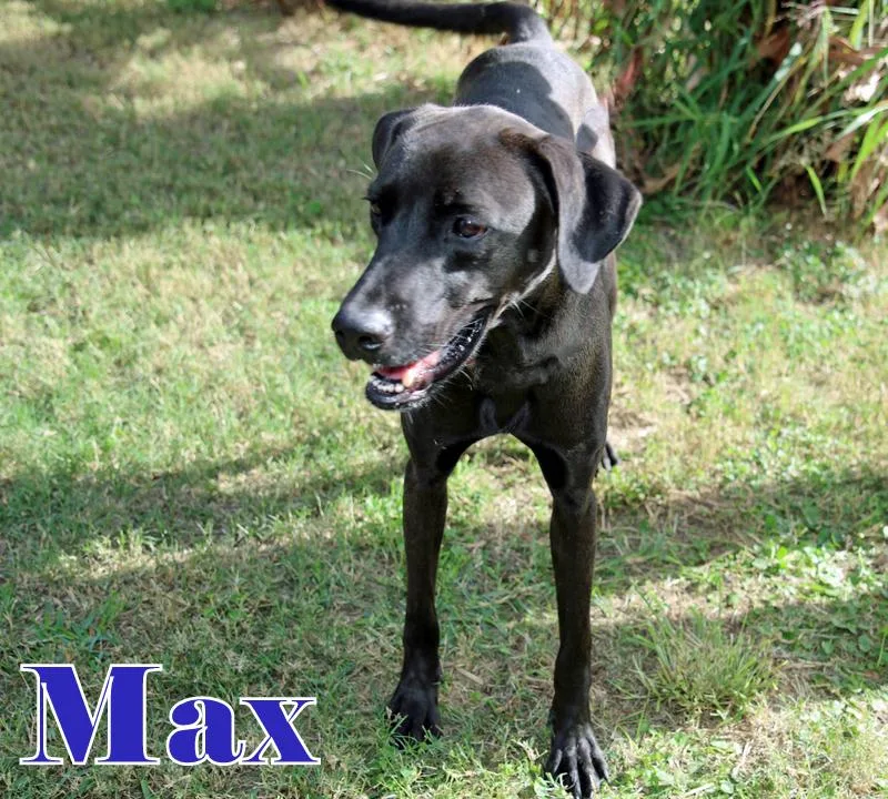 Max