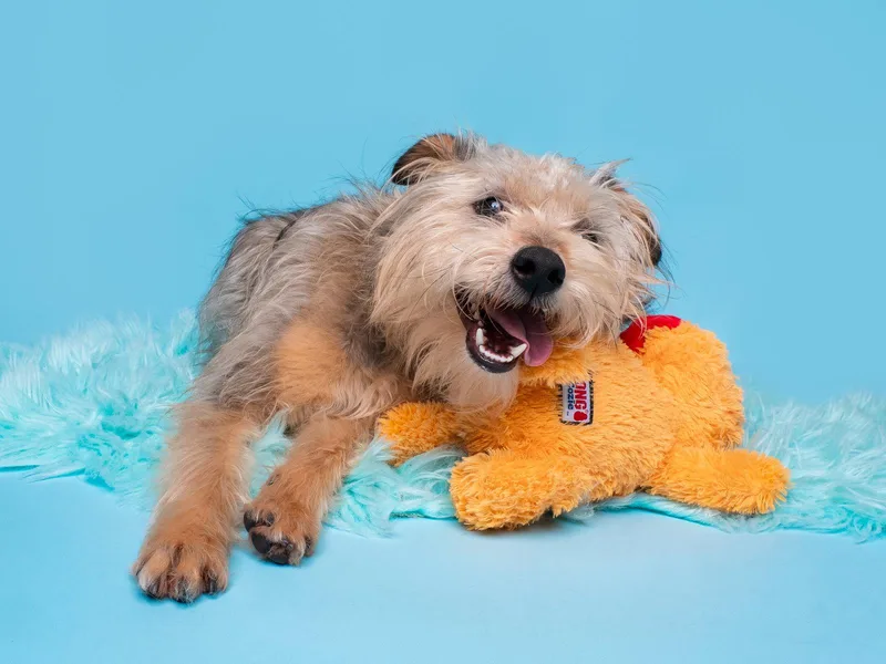 Inspector Gadget thumbnail 3