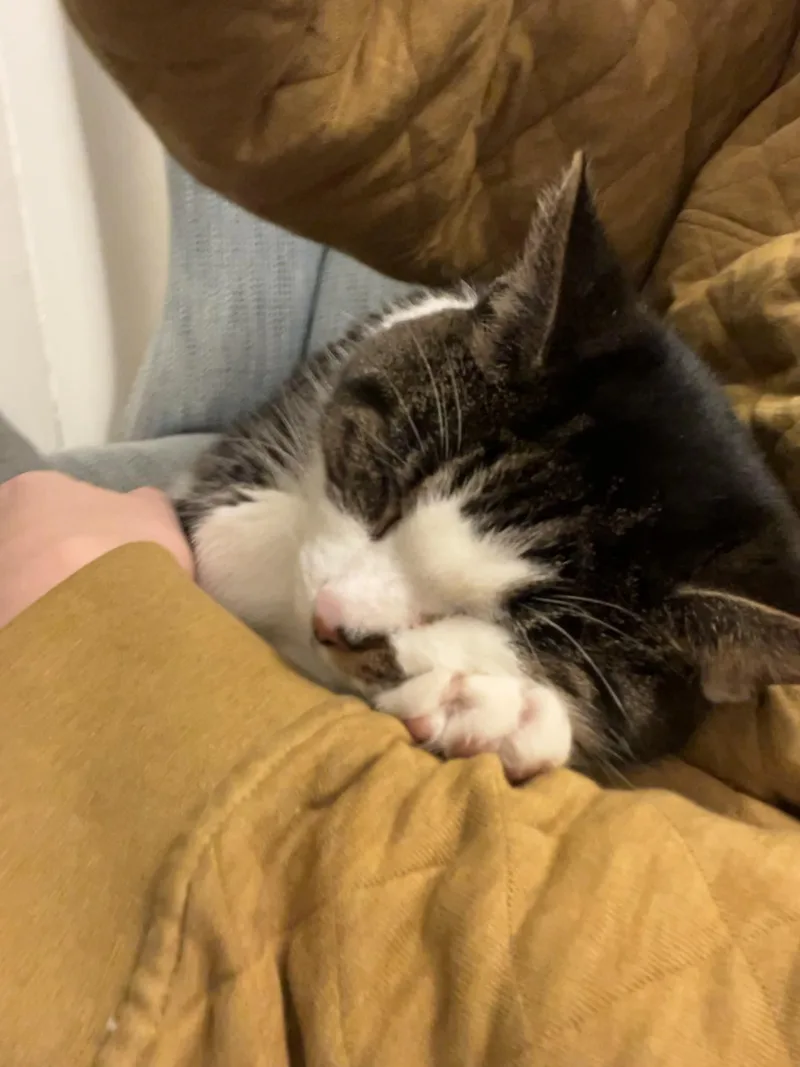 Lily thumbnail 2