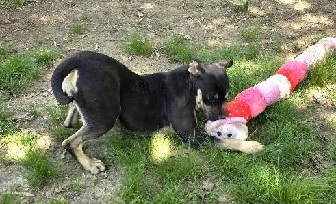 Molly Mae thumbnail 2