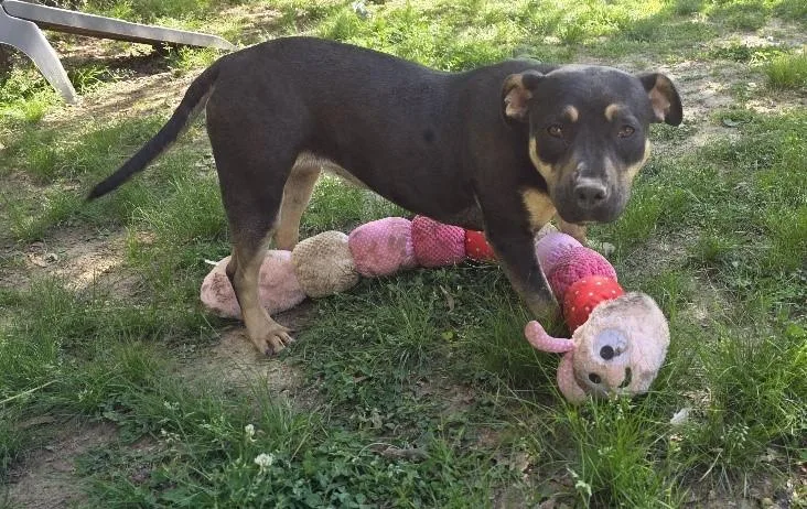 Molly Mae thumbnail 3