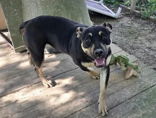 Molly Mae thumbnail 4