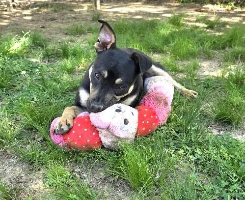 Molly Mae thumbnail 5