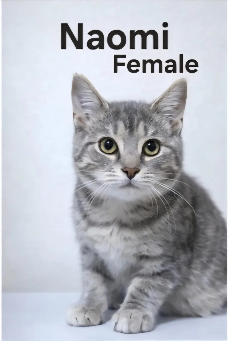 Naomi